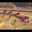 통사마을