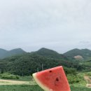 금순이농장 이미지