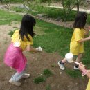 금병초병설유치원 이미지