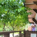 개미촌펜션 이미지