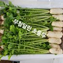 초롱농장 이미지