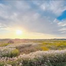 지평선주유소 이미지