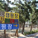 몽산포패밀리데이캠핑장 이미지
