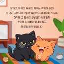 하나동물병원 이미지