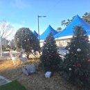 전남도청 버스승강장 옆 | 남악 눈썰매장 스케이트장 전남OK도민광장