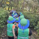 경암근린공원3 이미지