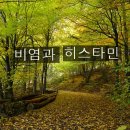 < 11월 4일 > 비염과 항히스타민제 이미지