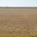 배들공인중개사사무소 이미지