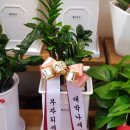 GS25운암벽산점 네이버블로그
