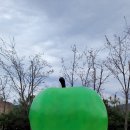 홍천목장 이미지