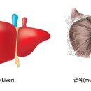 블루운동센터X필라테스블루 - 광진구 아차산로 457 | 블루운동센터X필라테스블루