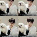 성운수퍼