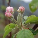 산들농원 이미지