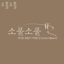 다율동 놀거리 가볼만한곳 소풀소풀 파티후기