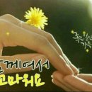 대한힐링 이미지