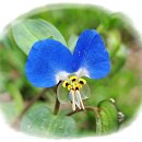 샘물식당 이미지