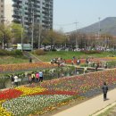 해피데이 이미지