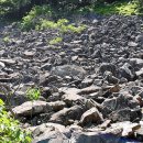 의봉농장 이미지