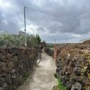 빈티지민박 | [달나비민박-돌집] 제주 동쪽 월정리 근처 독채 감성숙소 후기