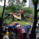 수원-1474 이미지