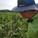 더조은농장 이미지