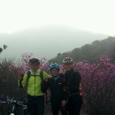 안민고개 정상 이미지