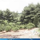 전원농장 이미지