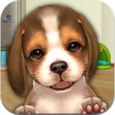 마이독스 이미지