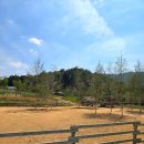 영소목장 이미지