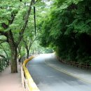 치악산둘레길 2코스 구룡길 이미지