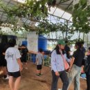 백룡초등학교 이미지