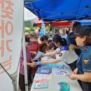 신녕공설시장 이미지