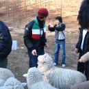 세리목장 이미지