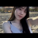 쀼쌴 부산 BUSAN 버스안