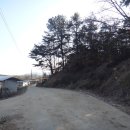 낙동강변11 이미지