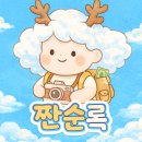 (주)해남건설 | 호주 멜버른 그레이트오션로드 투어 2월 가족여행 내돈내산 헬기투어 찐후기