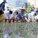 미동농장 이미지