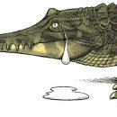 악어화장실 이미지