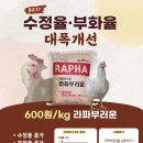 에스팜 이미지