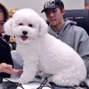 더비비에
