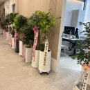 청당라이프의원 이미지