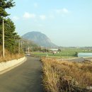 대정향교 이미지