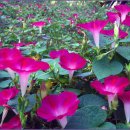 (주)아이엠 게임즈 이미지