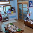 정자나무민박 이미지