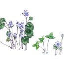 들꽃도서관 이미지