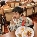 비마이버디 | 사가여행, 유카이 리조트 우레시노칸 28개월 아기랑 일본 온천여행 대만족 후기(조식, 석식 찐맛있음!!)
