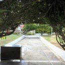 막탄(mactan) 이미지