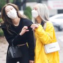 다솜연예기획 이미지