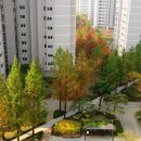 덕소아이파크아파트 이미지