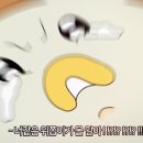 한채쭈꾸미 이미지